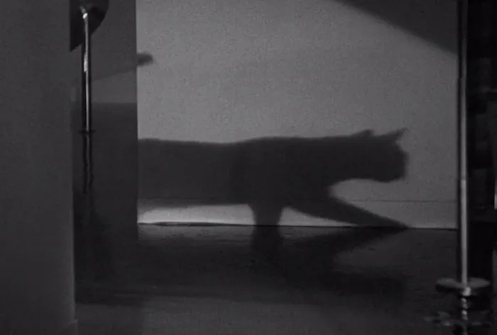 Scena iz filma The Black Cat(1934) 3