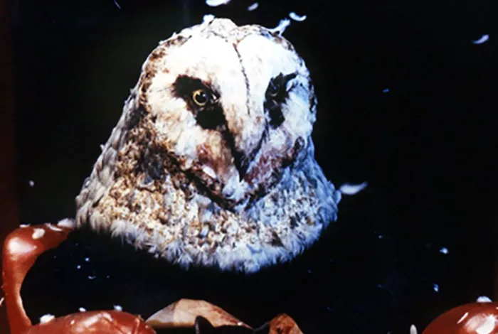 Scena iz filma StageFright: Aquarius(1987) 2