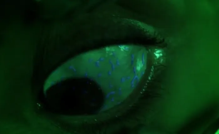 Scena iz filma Mother of Tears: The Third Mother(2007) 1