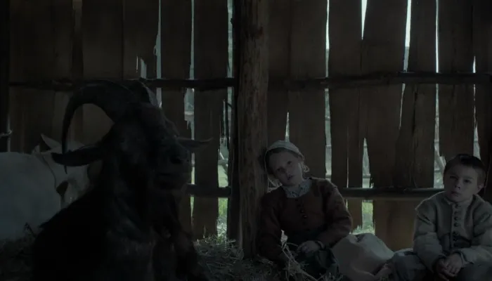 Scena iz filma The Witch(2015) 3