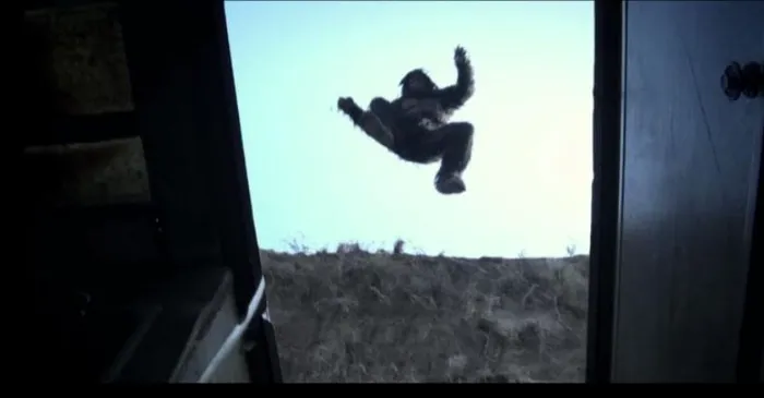 Scena iz filma Exists(2014) 2