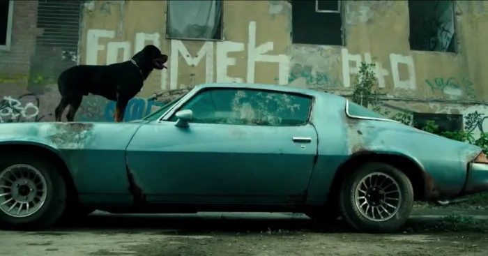 Scena iz filma Don't Breathe(2016) 1
