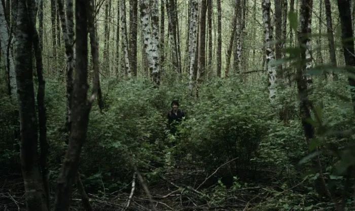 Scena iz filma Blair Witch(2016) 1