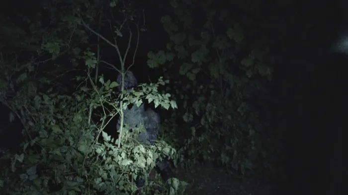 Scena iz filma Blair Witch(2016) 2
