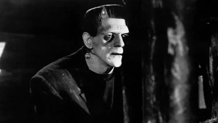 Scena iz filma Frankenstein(1931) 2