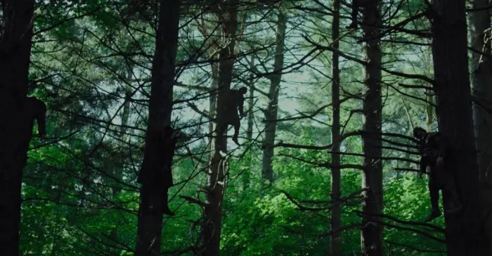 Scena iz filma Apostle(2018) 2