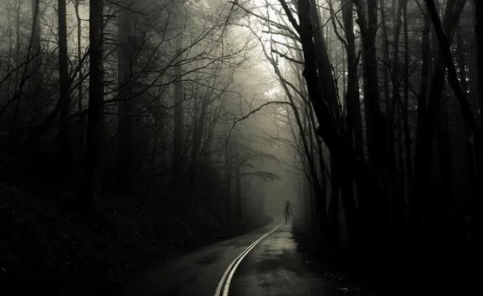 Scena iz filma Slender Man(2018) 1