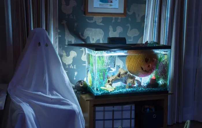 Scena iz filma Halloween(2018) 3