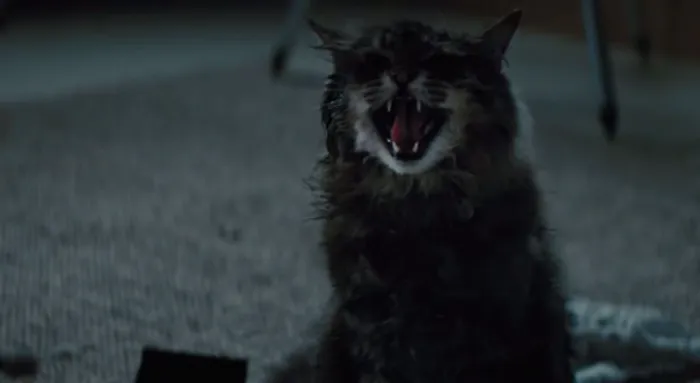 Scena iz filma Pet Sematary(2019) 3