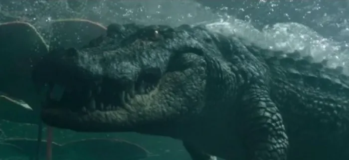 Scena iz filma Crawl(2019) 2