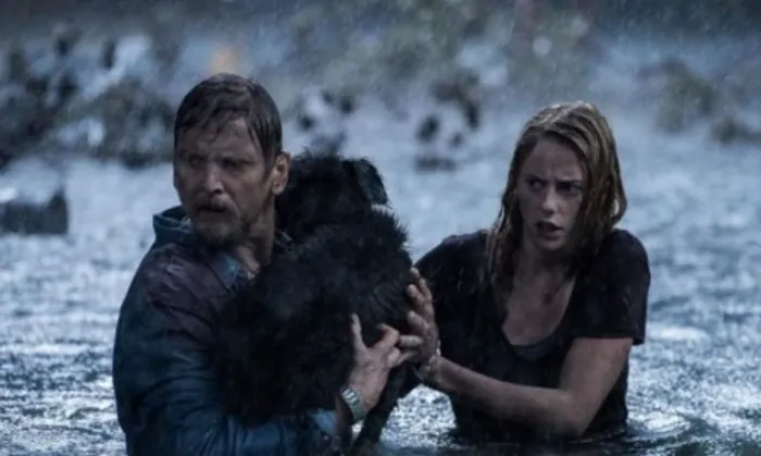 Scena iz filma Crawl(2019) 1