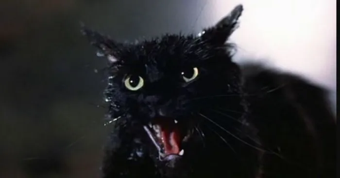 Scena iz filma Tales from the Darkside: The Movie(1990) 2