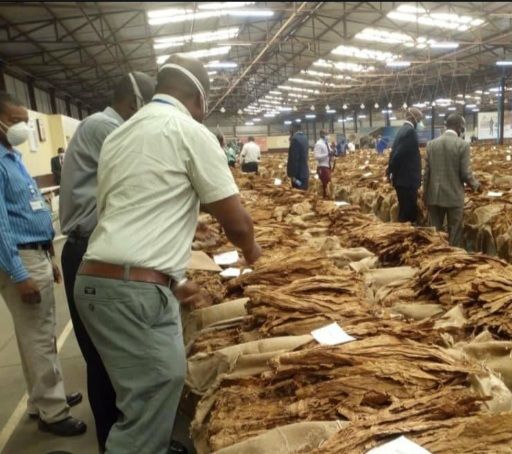 TC sets April for the start of Tobacco Selling season