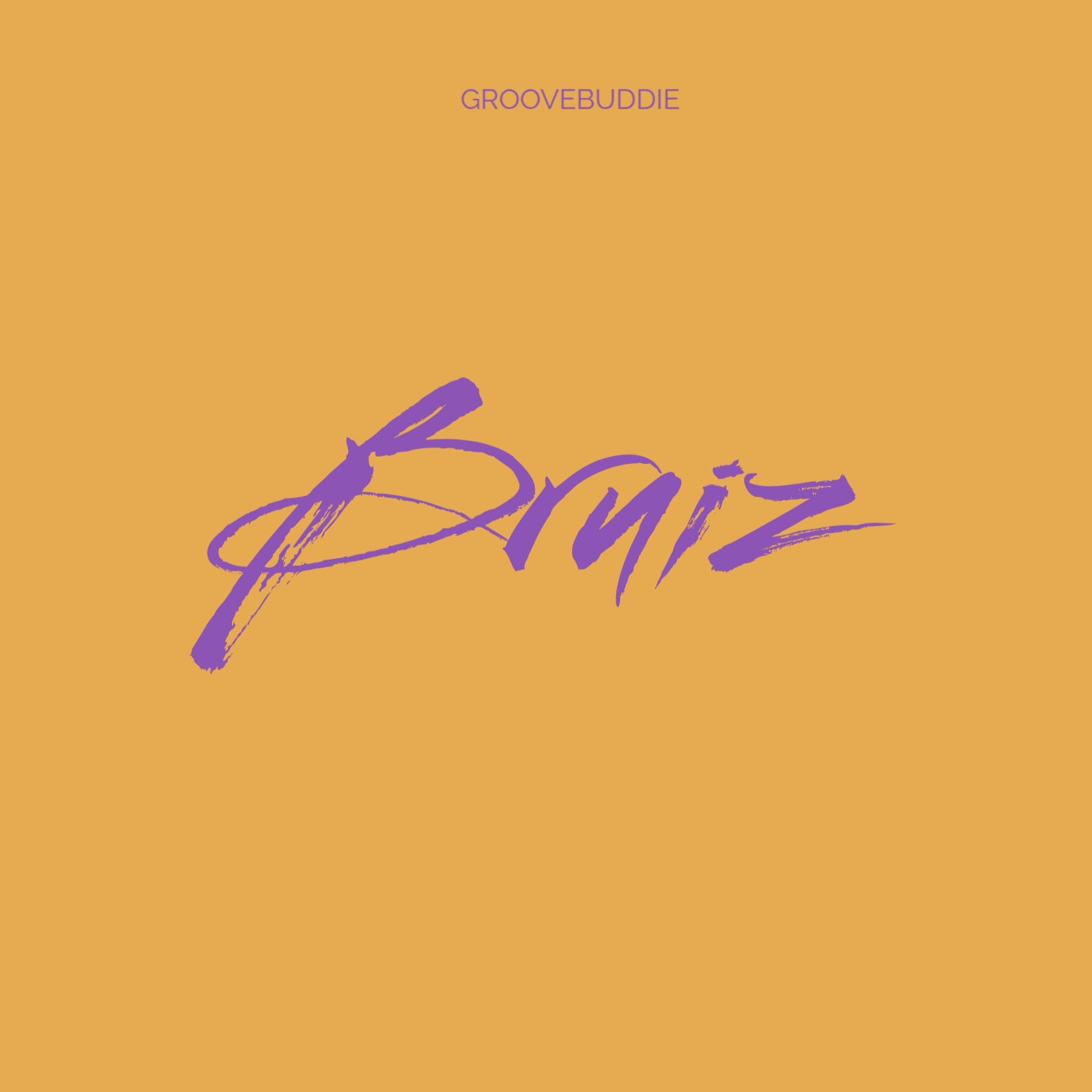 BRUIZ Beat Artwork