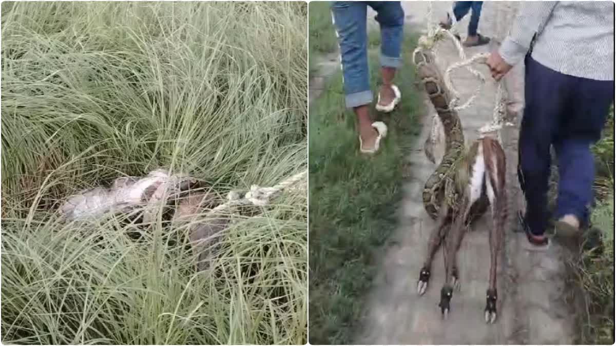 ...जब