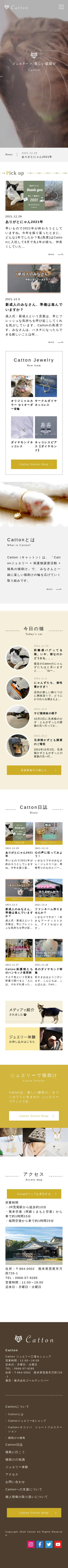 キャプチャ画面 会社名:株式会社ゴールデンリバープロジェクト名:Catton 画面名:A デバイス名:SP