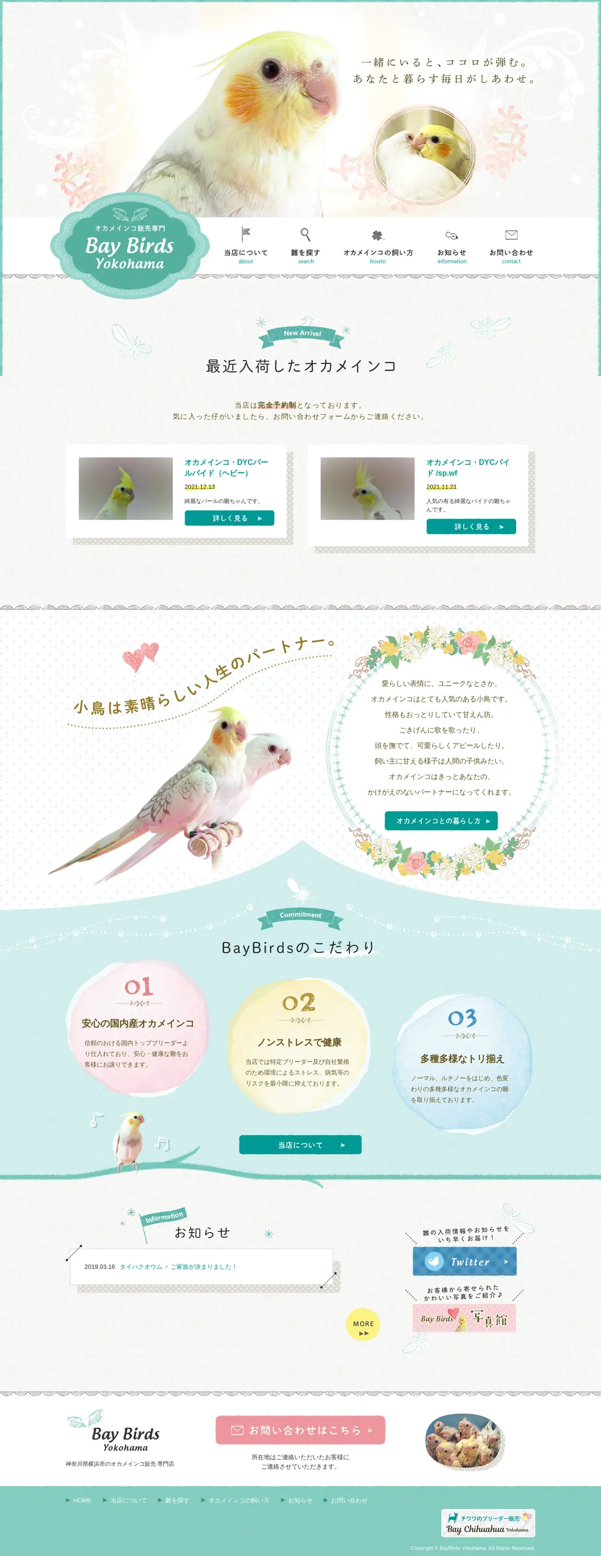 キャプチャ画面 会社名:ベイバードヨコハマプロジェクト名:Bay Birds Yokohama 画面名:全国トップ デバイス名:PCカテゴリ:動物・ペットタグ:全国トップ