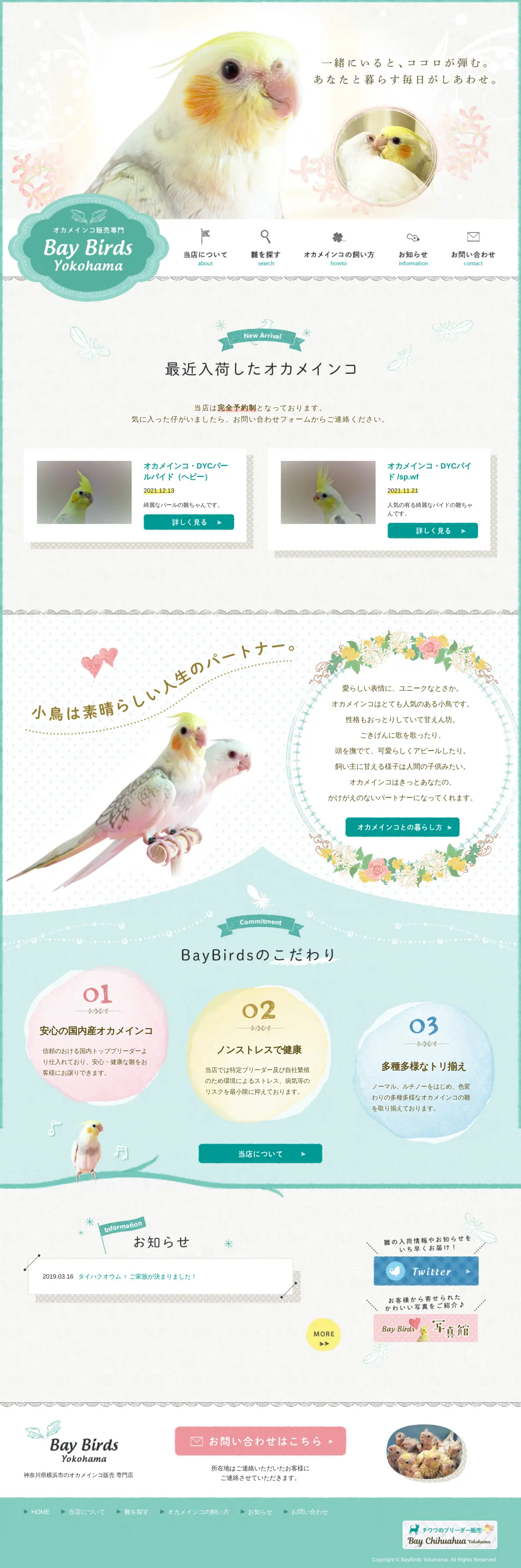 キャプチャ画面 会社名:ベイバードヨコハマプロジェクト名:Bay Birds Yokohama 画面名:全国トップ デバイス名:SPカテゴリ:動物・ペットタグ:SP,全国トップ