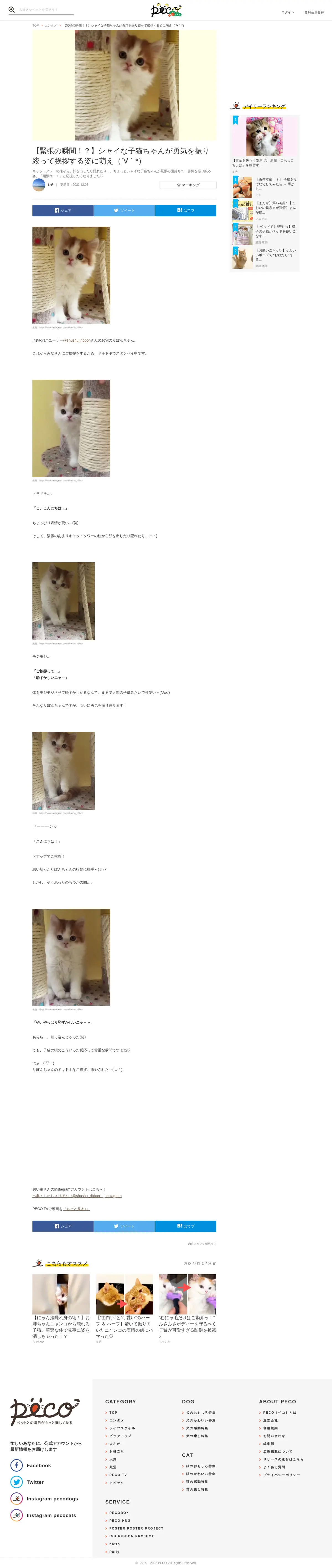 キャプチャ画面 会社名:株式会社PECOプロジェクト名:PECO 画面名:記事詳細 デバイス名:PC