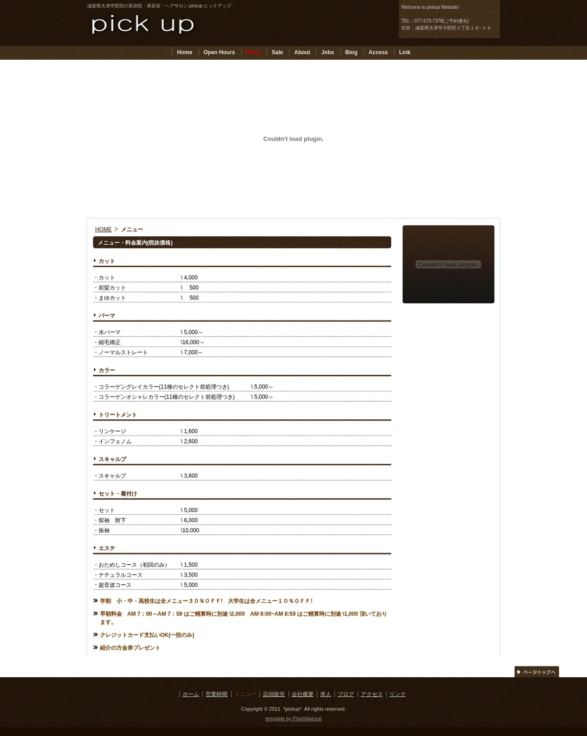 キャプチャ画面 会社名:有限会社ピックアッププロジェクト名:pick up 画面名:料金プラン詳細 デバイス名:PC