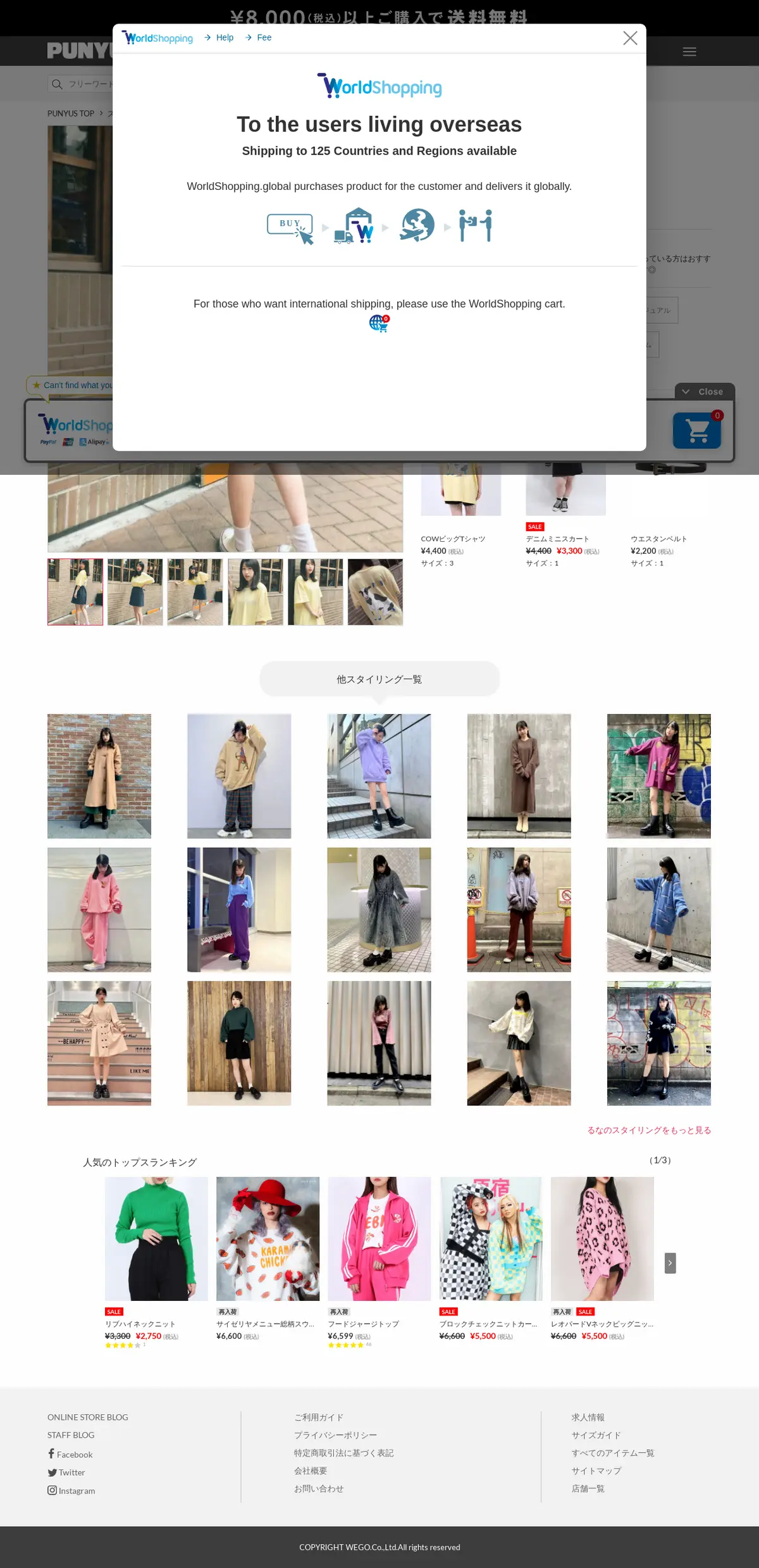 キャプチャ画面 会社名:株式会社ウィゴープロジェクト名:PUNYUS Online Store 画面名:事例詳細 デバイス名:PC