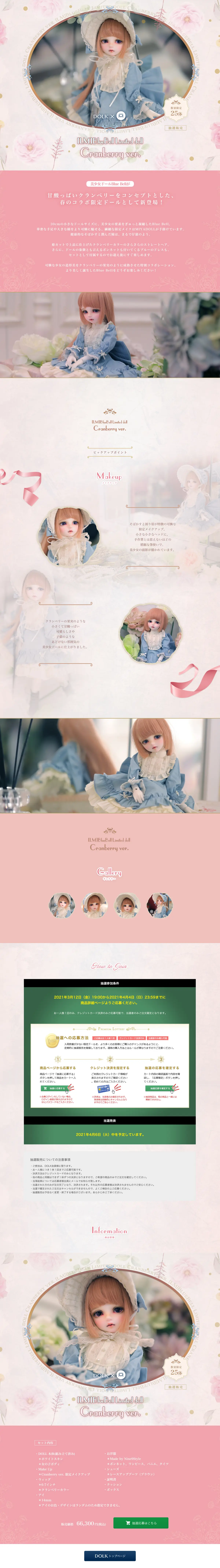 キャプチャ画面 会社名:株式会社ボーダレスプロジェクト名:BlueBellLimiteddollCranberryver. 画面名:A デバイス名:PC