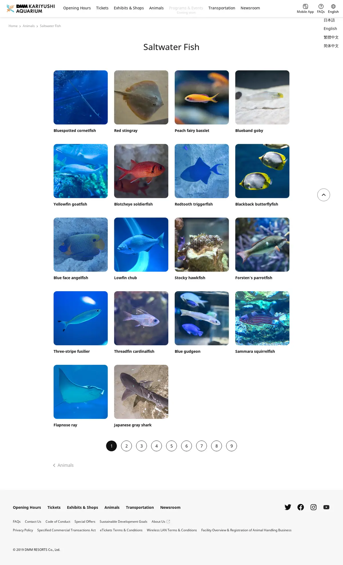 キャプチャ画面 会社名:DMM.com Groupプロジェクト名:DMM かりゆし水族館 画面名:商品一覧 デバイス名:PCカテゴリ:アミューズメントタグ:商品一覧,PC