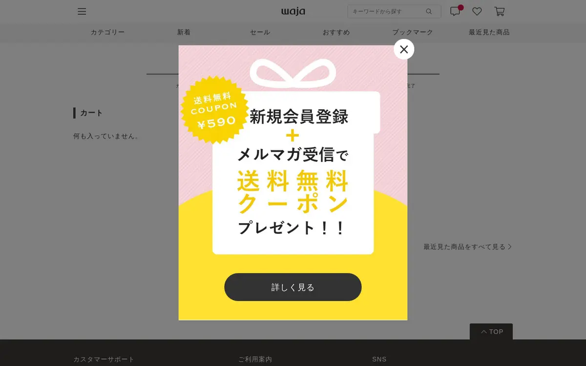 キャプチャ画面 会社名:株式会社デファクトスタンダードプロジェクト名:waja 画面名:カート入力 デバイス名:PC