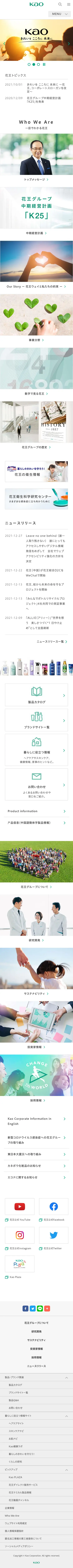 キャプチャ画面 会社名:株式会社カンナムドールプロジェクト名:花王 画面名:A デバイス名:SP
