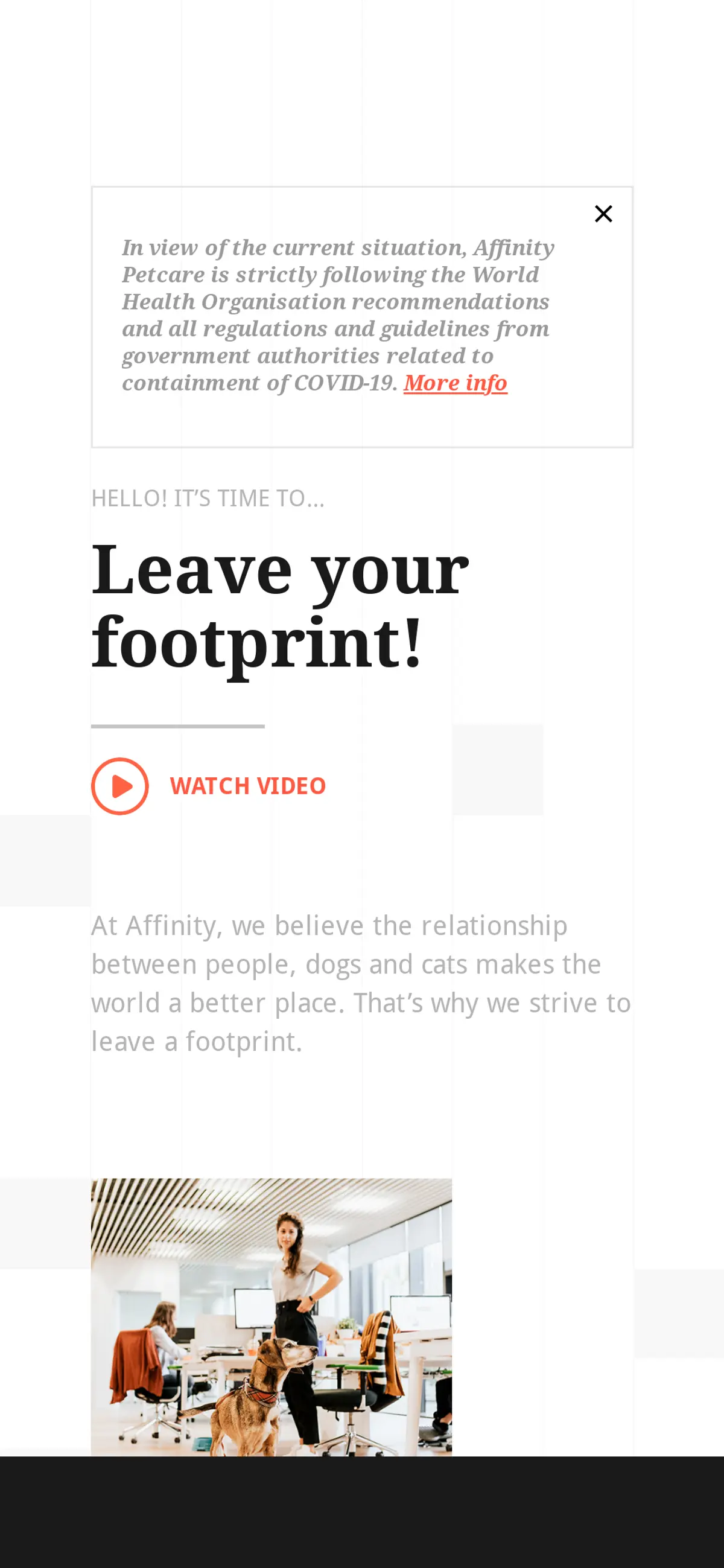 キャプチャ画面 会社名:Affinity Petcareプロジェクト名:Affinity Petcare 画面名:A デバイス名:SPカテゴリ:動物・ペットタグ:A,SP