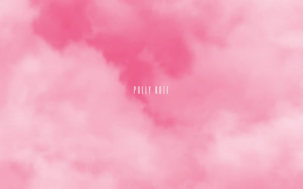 キャプチャ画面 会社名:POLLY KOLEプロジェクト名:POLLY KOLE 画面名:A デバイス名:PC