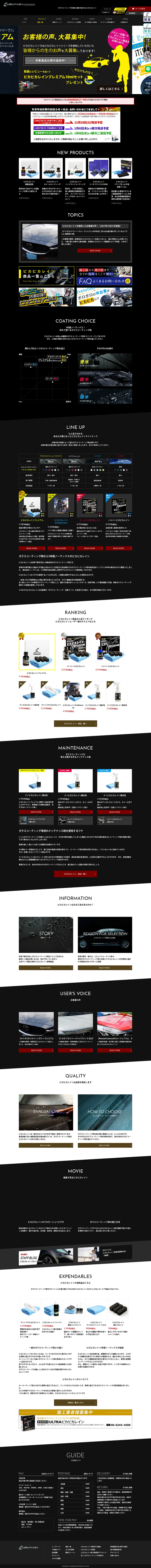 キャプチャ画面 会社名:株式会社トップランプロジェクト名:ピカピカレイン 画面名:A デバイス名:PC
