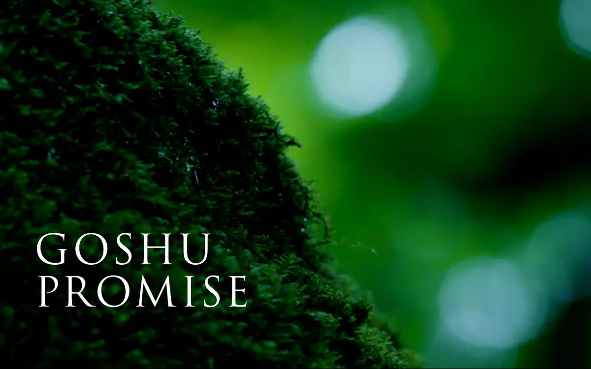 キャプチャ画面 会社名:五洲薬品株式会社プロジェクト名:GOSHU PROMISE 画面名:A デバイス名:PC