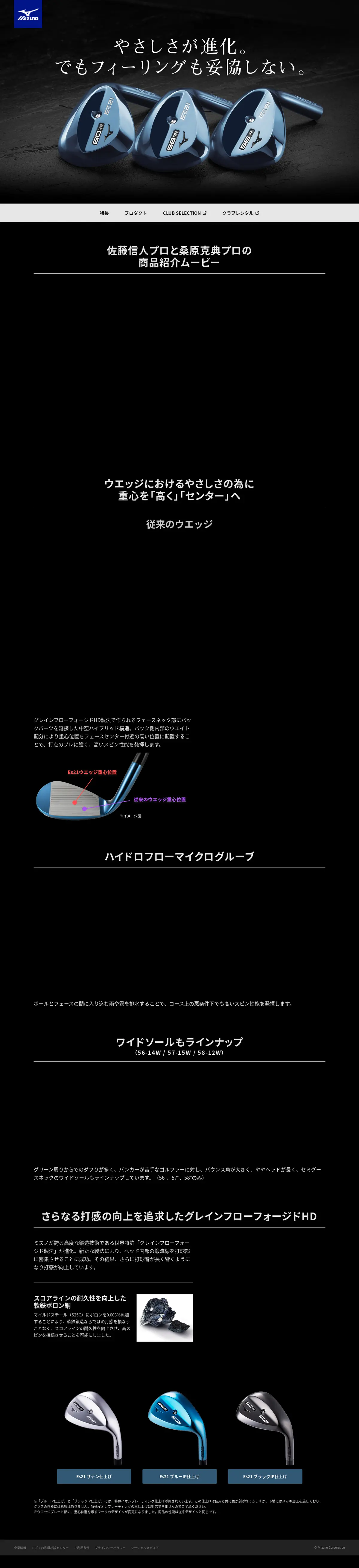キャプチャ画面 会社名:ミズノプロジェクト名:Es21 画面名:A デバイス名:PC