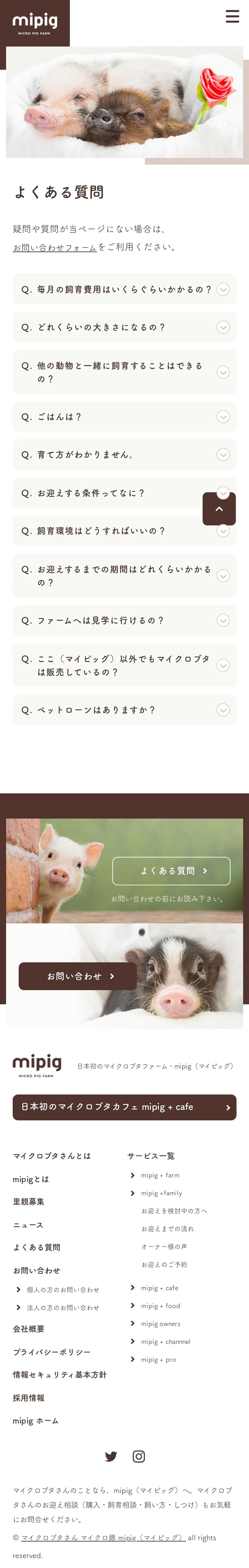 キャプチャ画面 会社名:株式会社SaLaDaプロジェクト名:mipig　MICRO PIG FARM 画面名:質問・Q&A デバイス名:SPカテゴリ:動物・ペットタグ:SP,質問・Q&A