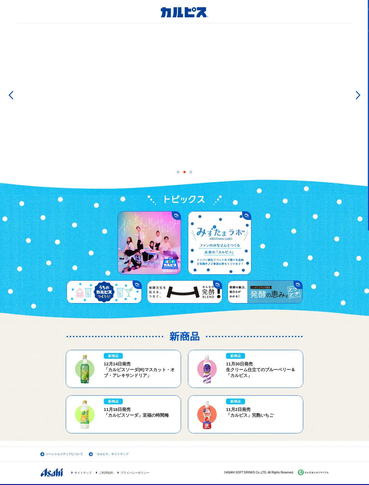 キャプチャ画面 会社名:アサヒ飲料株式会社プロジェクト名:CALPIS 画面名:A デバイス名:PC