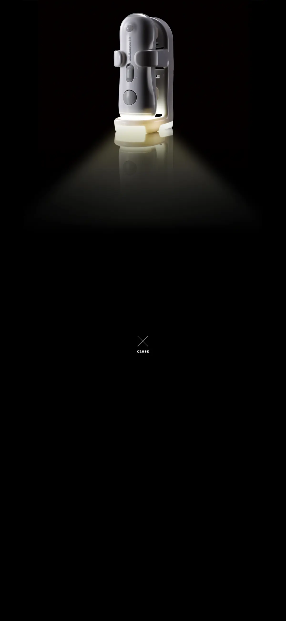 キャプチャ画面 会社名:株式会社ブラザーエンタープライズプロジェクト名:マモリア 画面名:A デバイス名:SP