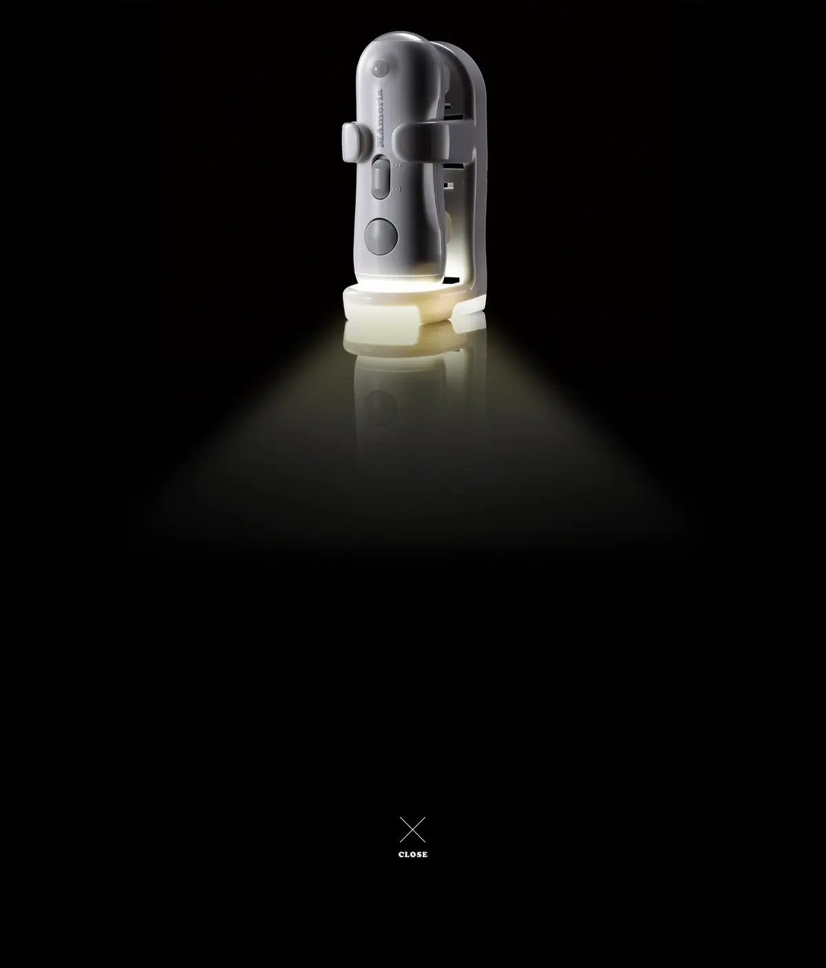 キャプチャ画面 会社名:株式会社ブラザーエンタープライズプロジェクト名:マモリア 画面名:A デバイス名:PC