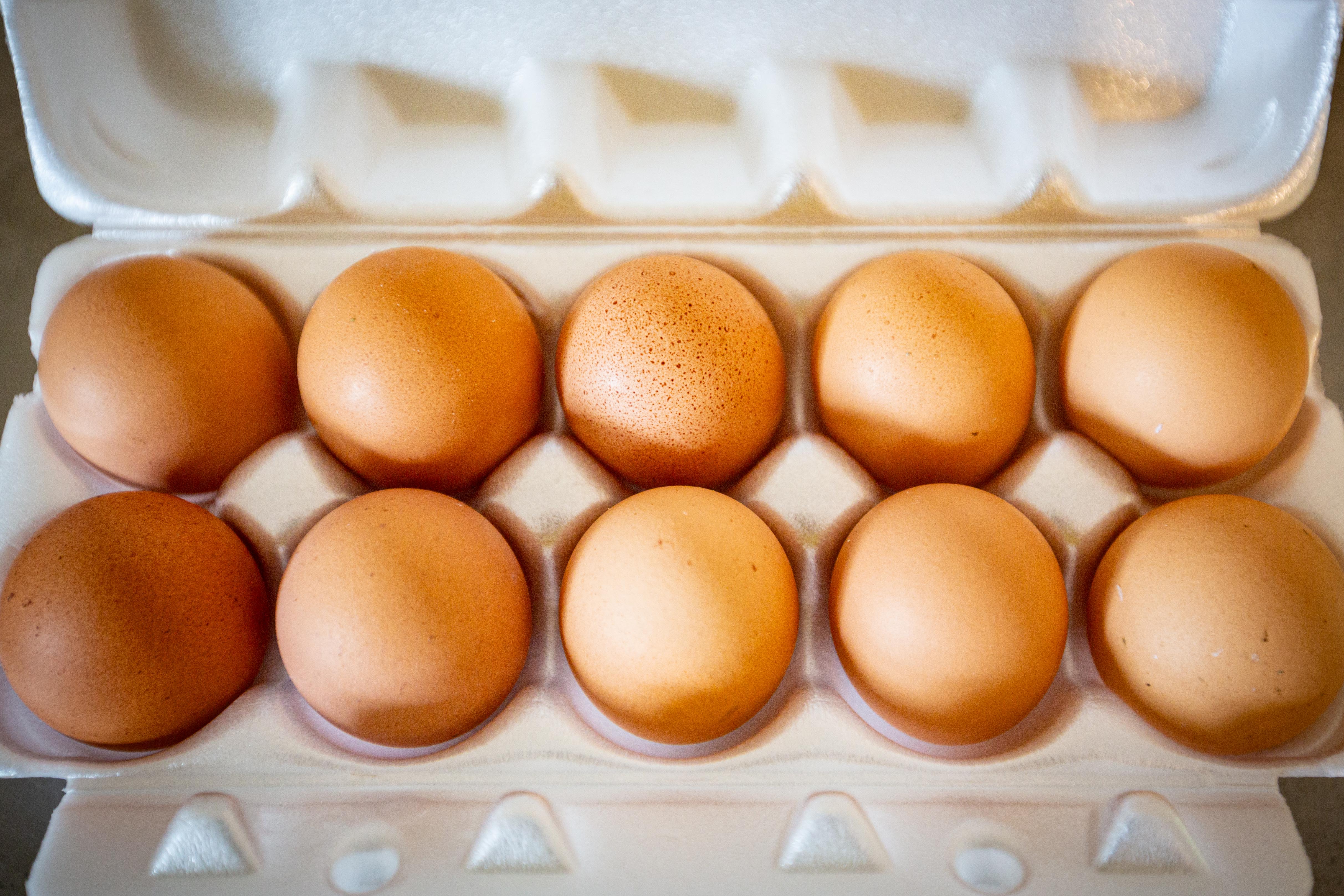 Free range jaja - Image 1