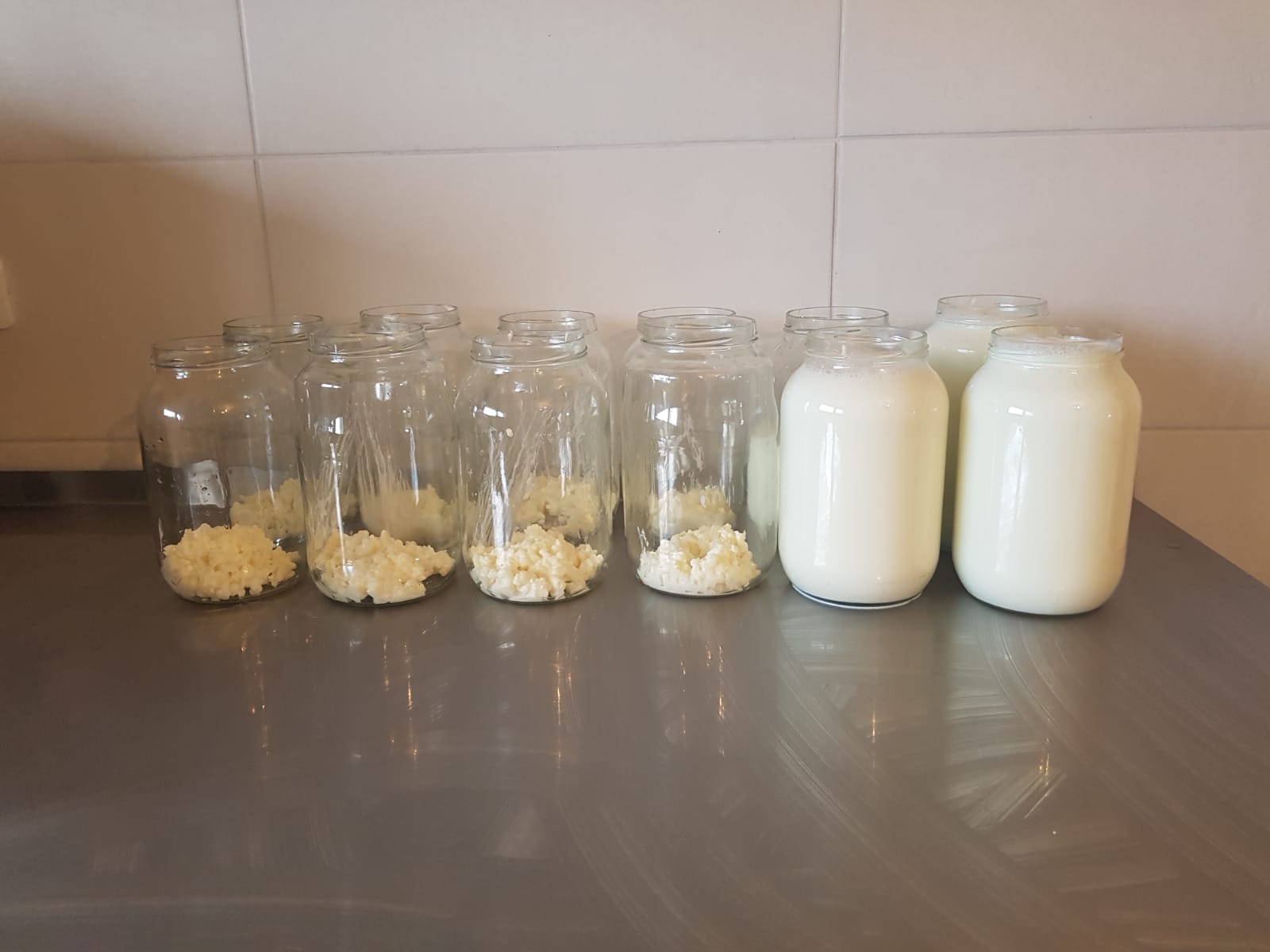 Fermentiran thumbnail 4