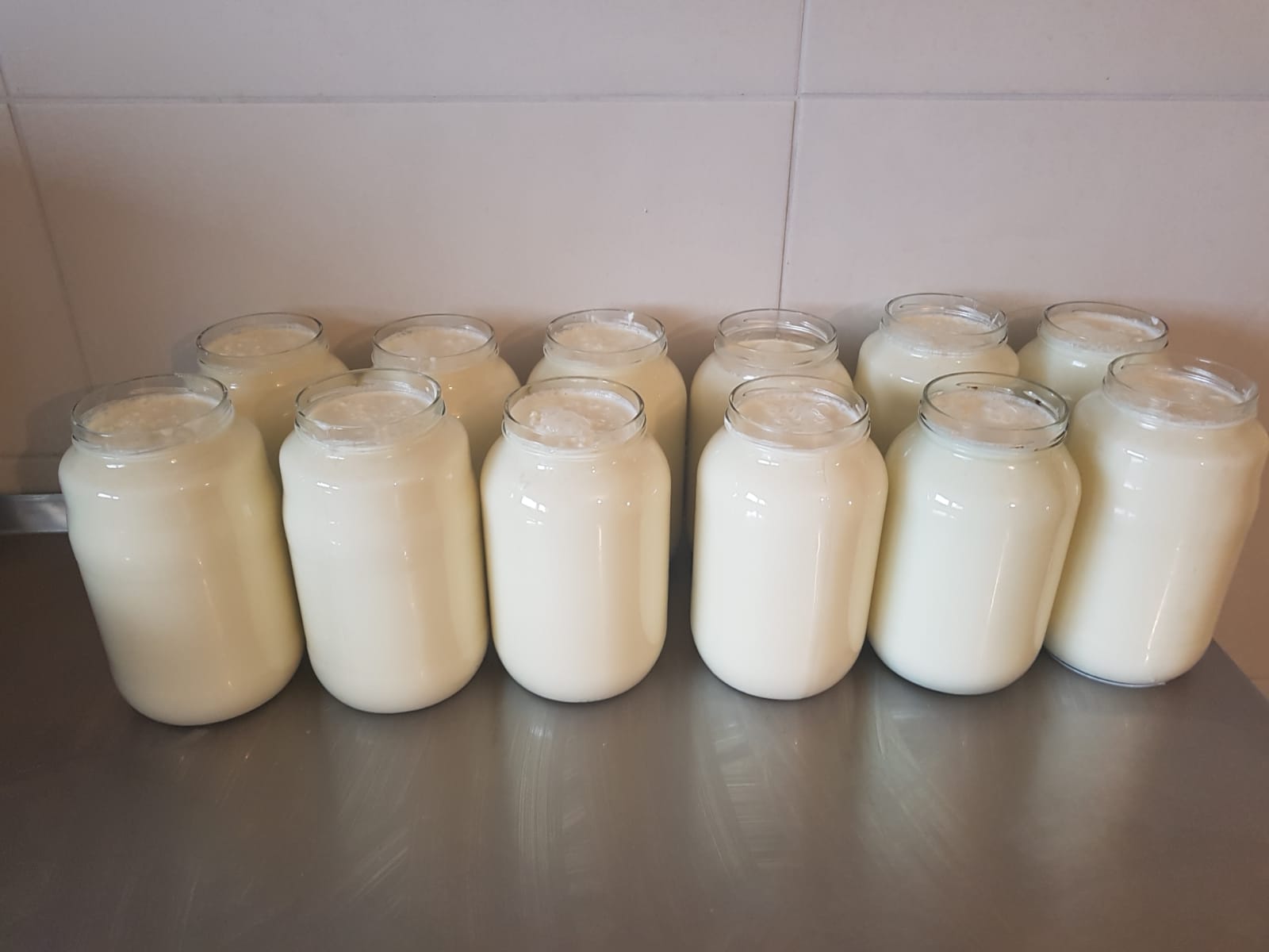 Fermentiran thumbnail 3