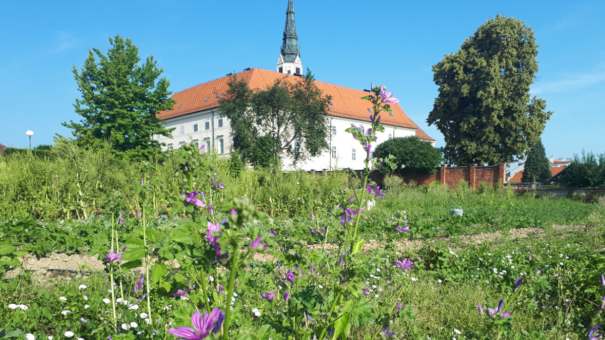 Minijatura galerije 4