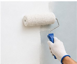 Repainting a Pune Housing Society Building: A Committee Guide