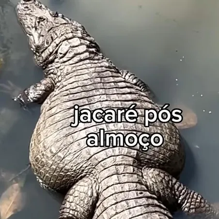 Imagem de capa do grupo MINECRAFTEIROS
