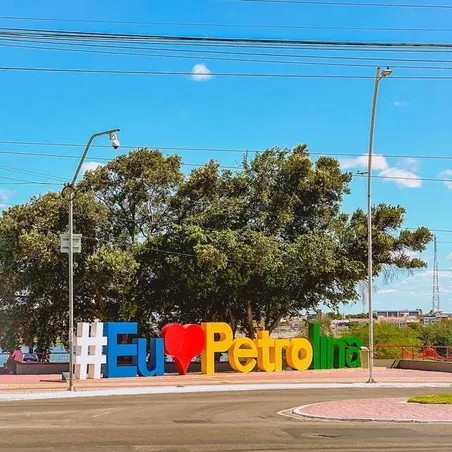Imagem de capa do grupo Os bactérias de petrolina/pe
