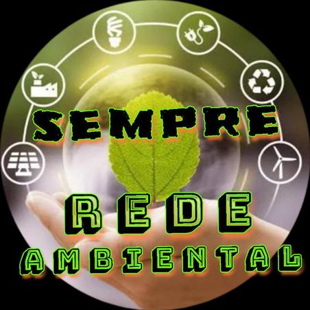 Grupo de WhatsApp REDE AMBIENTAL 01 - Notícias