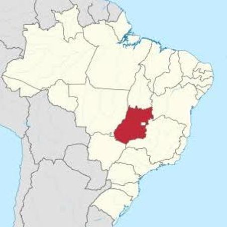 Grupo de WhatsApp Coração do país - Notícias