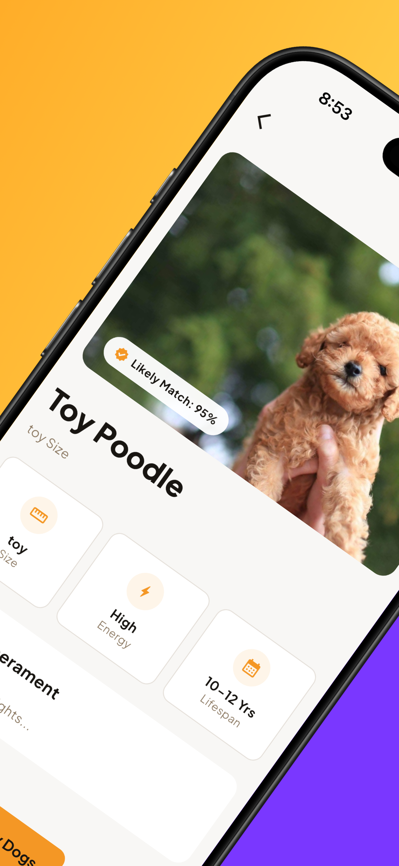 Dog Breed Scanner - Kynera screenshot