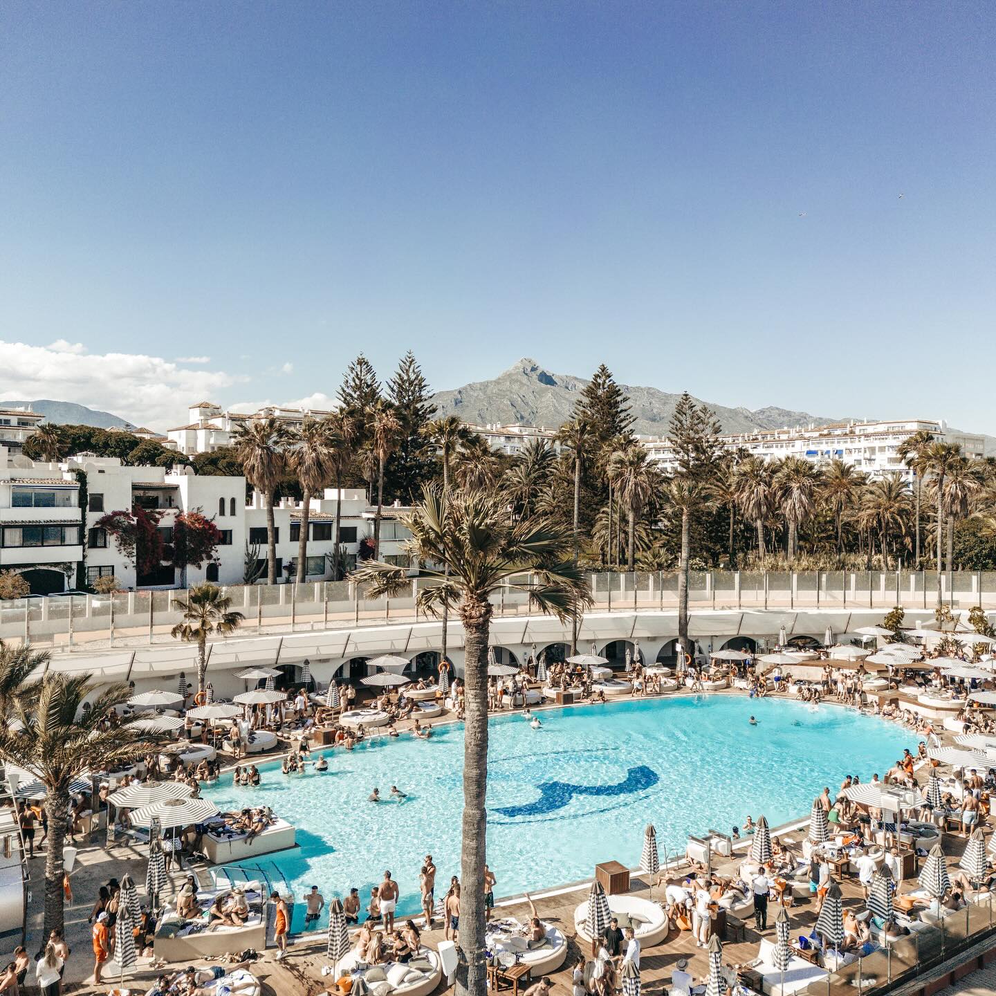 Ocean Club - Image 1