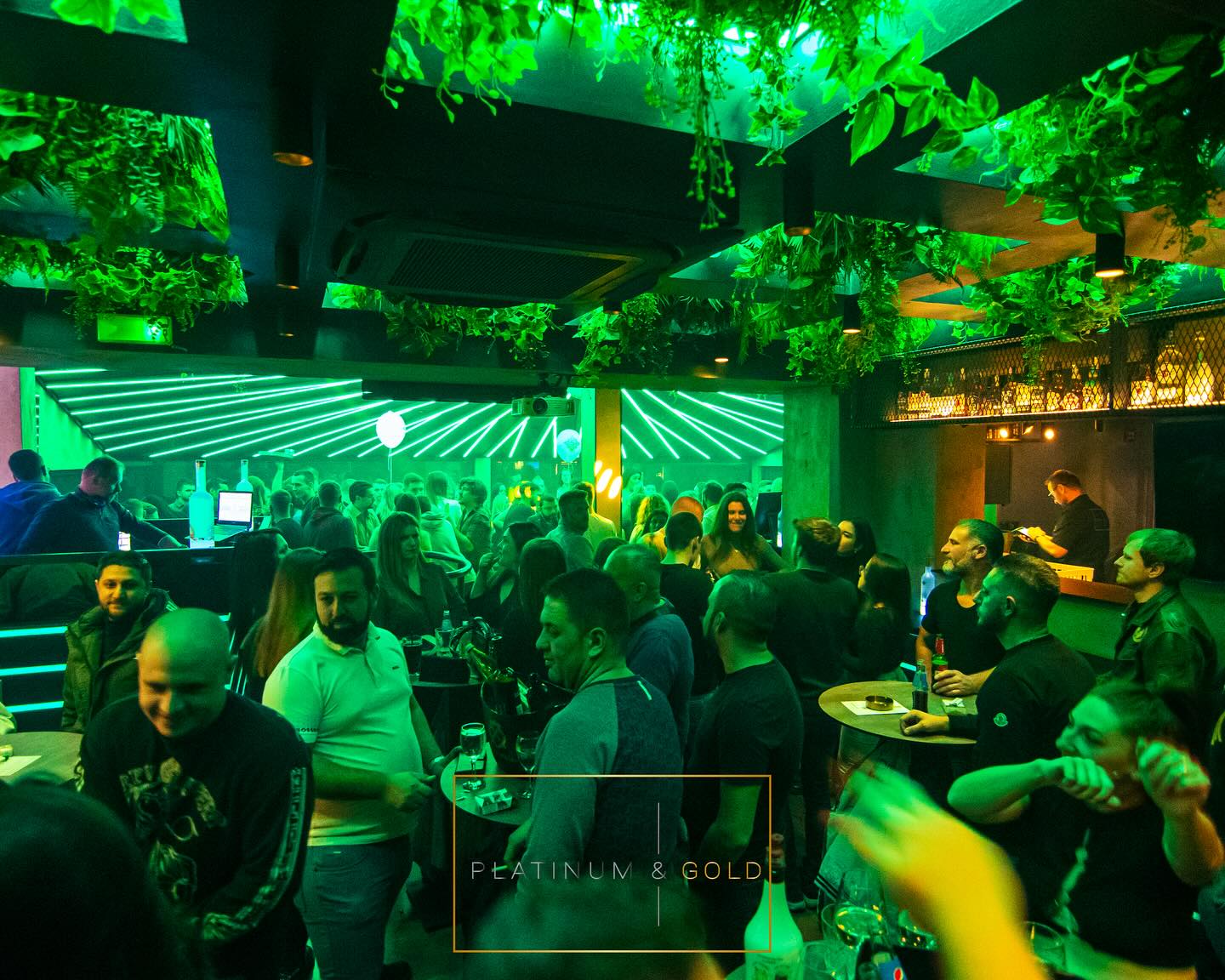 Platinum & Gold club - Image 3